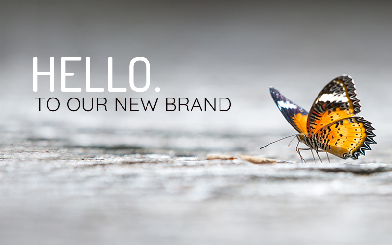 Brand Blog Post Brand Blog Post