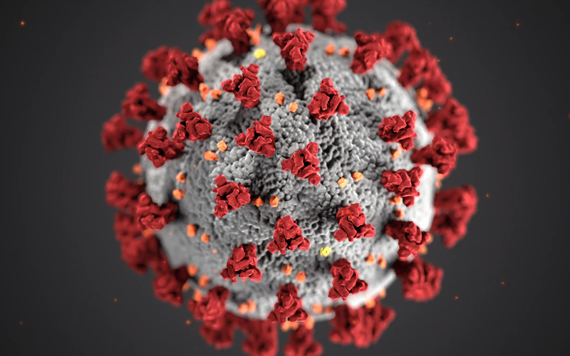 portal coronavirus information